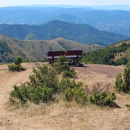 Apt. Kop For Kopaonik