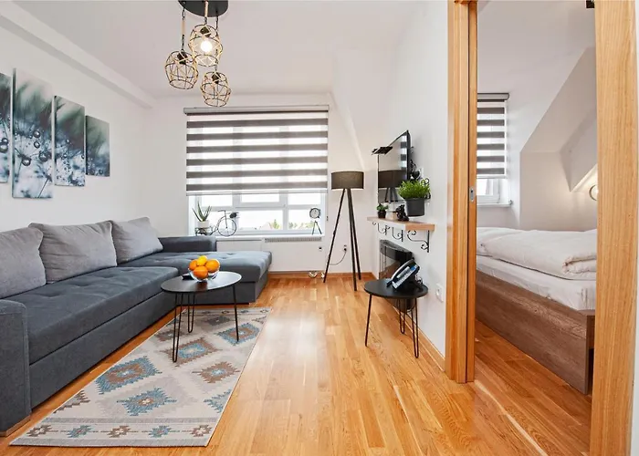 Apt. Kop For 科帕奥尼克