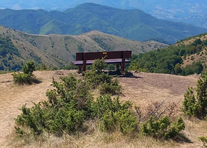 Apt. Kop For 科帕奥尼克